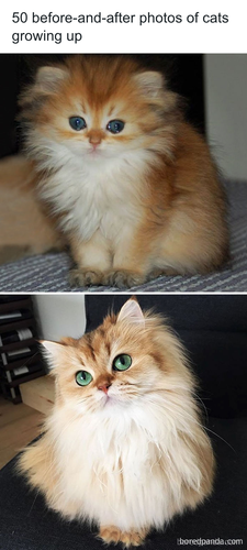 download 2025 11 06T153601.820.png