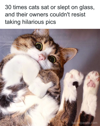 download 2025 11 06T164140.517.png