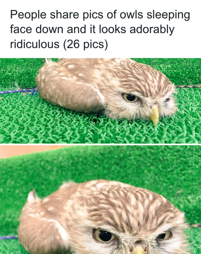 download 2025 11 06T163410.903.png