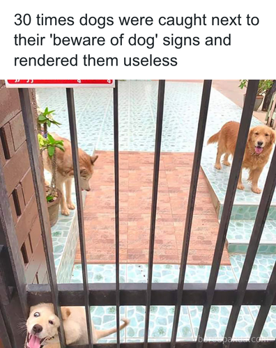 download 2025 11 06T162035.479.png