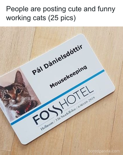 download 2025 11 06T165416.360.png