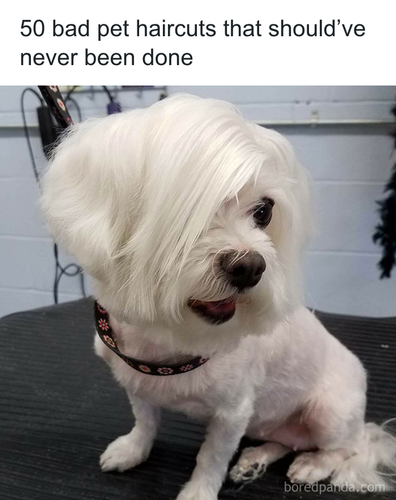 download 2025 11 06T164637.127.png