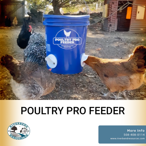 POULTRY PRO FEEDER.png