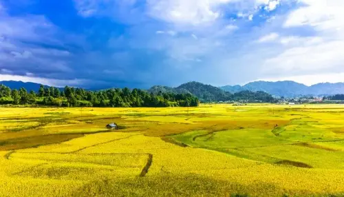 Discover the Hidden Gem of Arunachal Pradesh – Book Your Magical Ziro Valley Tour Package Today.webp