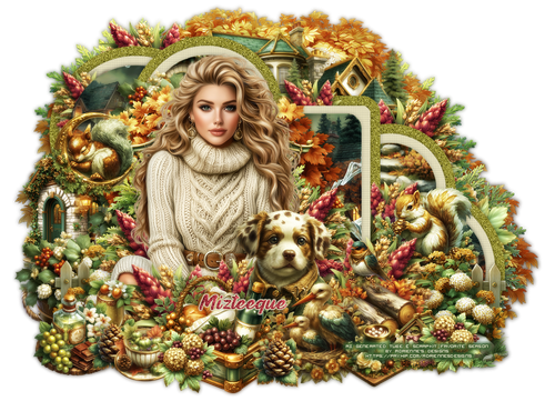 MizteequeFavoriteSeasontag vi.png