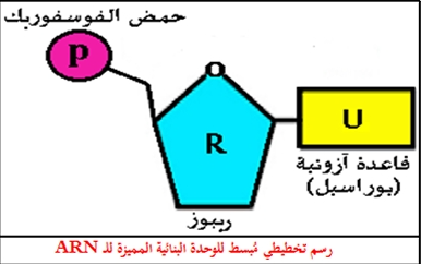 screenshot 1762441233520.png