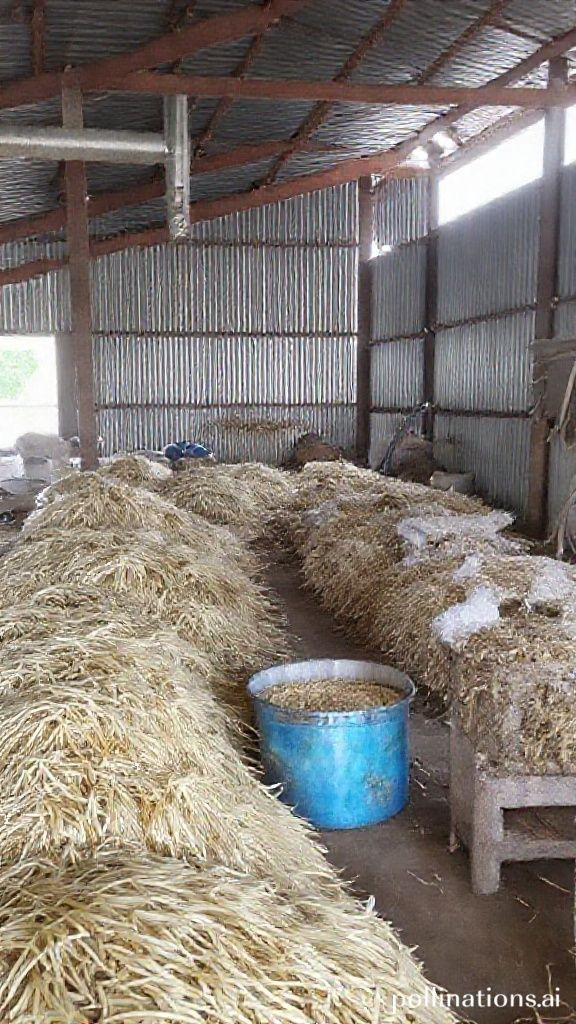 Palawan LGU gets rice processing center; To benefit 6,000 farmers in Palawan's rice granary