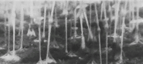 3ezgif.com resize (37).gif