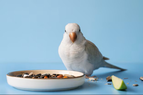 How Children Learn to Be Responsible by Only Feeding Their Pets Vetafarm Pellets.jpg