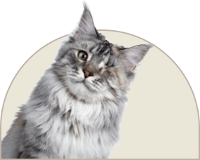 07.png