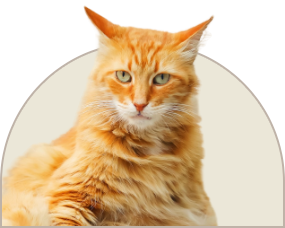 18.png
