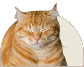 16.png