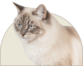 24.png