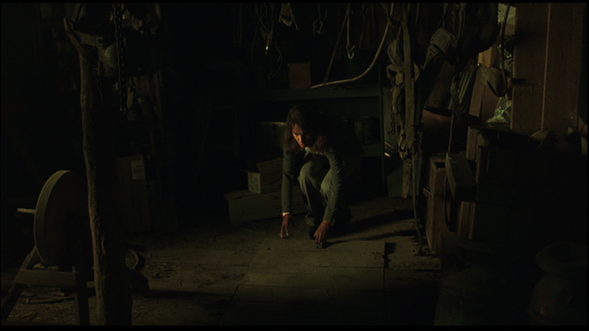 vlcsnap 2025 11 05 02h22m24s160