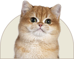 27.png