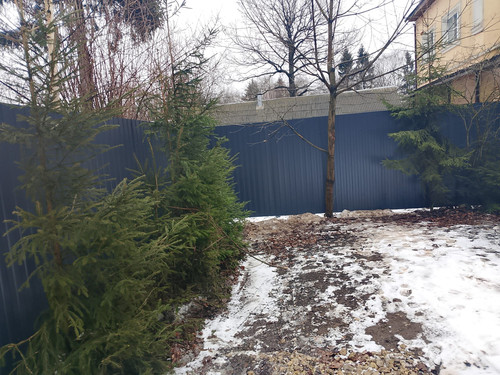 IMG 20250307 WA0112.jpg