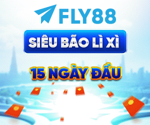 FLY88