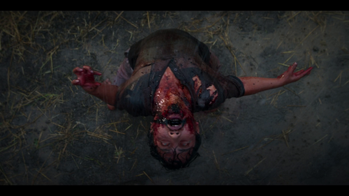 vlcsnap 2025 11 06 18h50m50s806