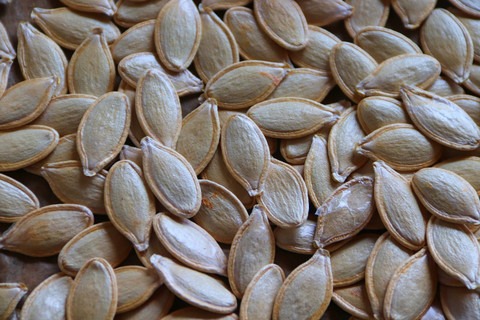 30 pumkin3 arshiayat original im (1).jpg