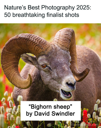 natures best photography.jpg