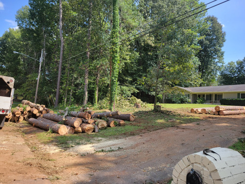 Emergency Tree Removal.jpg