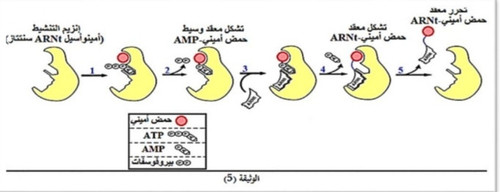 IMG 20250914 150435.jpg