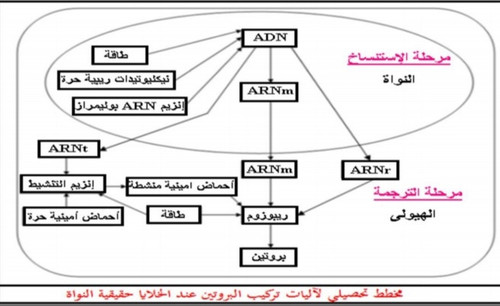 IMG 20250914 150556.jpg