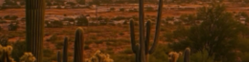 IMG 2912.png