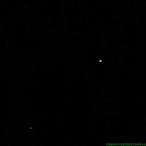 tumblr 1bf8f67ede47ac1dc9d0d1cd606fabf4 c77b52e0 540.gif