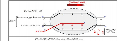 IMG 20250914 190533.jpg