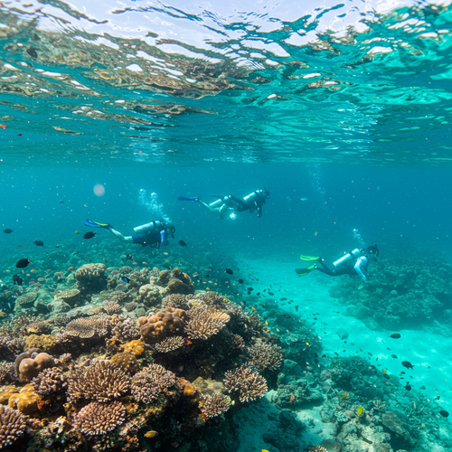 Bali Islands: Dive & Explore image 2 1024x768.png