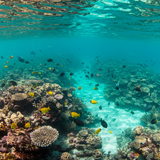 Langkawi Explorer: Cultural Escape image 3 768x1024