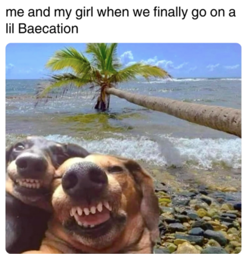 Screenshot 2025 09 15 at 11.11.27 AM.png