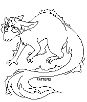 IMG 4583.png