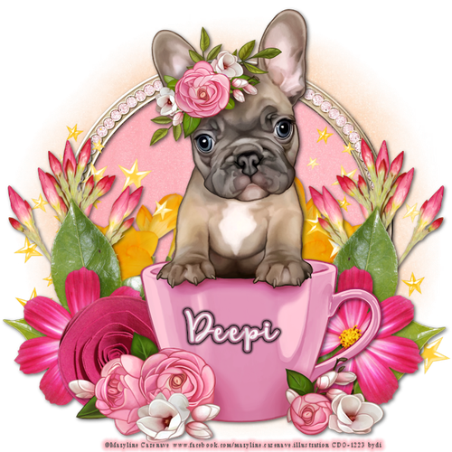 carolinetag2deepi