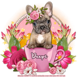 carolinetag2deepi