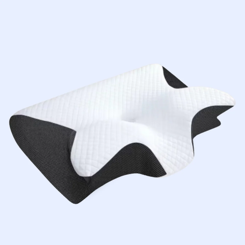 Butterfly Pillow.png