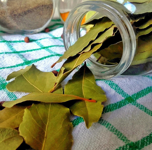 bay leaf 2942399 1920.jpg