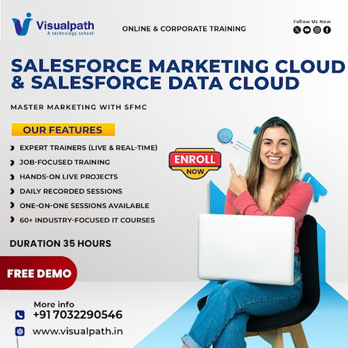 Salesforce Marketing Cloud Online Training in India  Training.jpg