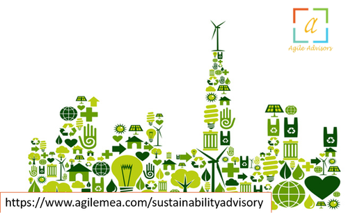 How Sustainability Consultants in the UAE Help You Go Green.png