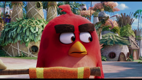 frame2.jpg
