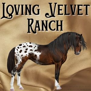 Loving Velvet.jpg