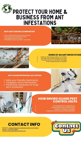 Protect Your Home & Business from Ant Infestations.jpg