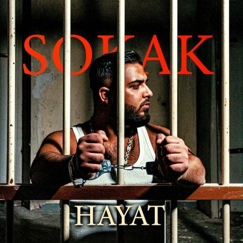 دانلود آهنگ HayaT به نام Sokak
