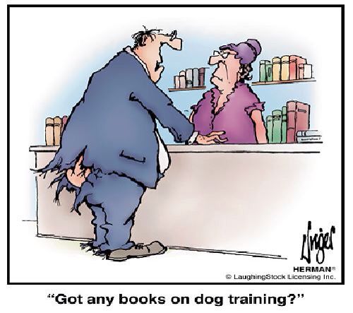 17533030819825961628759059904245 (1).jpg