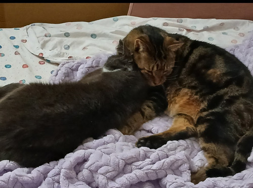 Screenshot 20241223 152024 Photos.jpg