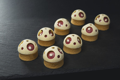 BERRY PISTACHIO SNOWGLOBE.jpg