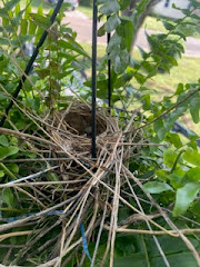 thumbnail IMG 6934.jpg