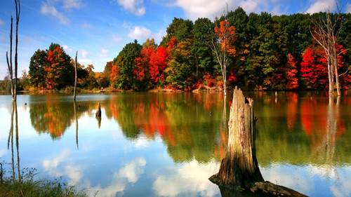 green red orange autumn fall trees in white clouds blue sky reflection on water hd autumn desktop 19.jpg