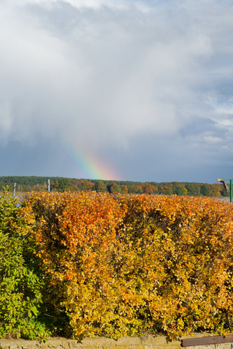 Безветренный осень в Прибалтийском мирном округе, помочить блесну Kvc0tZN.md.jpg
